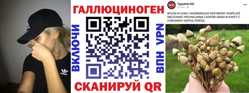 Галлюциногенные грибы Cubensis  Когалым 